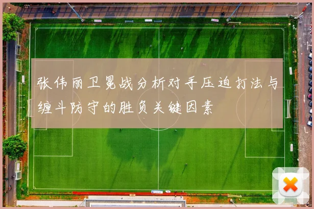 张伟丽卫冕战分析对手压迫打法与缠斗防守的胜负关键因素
